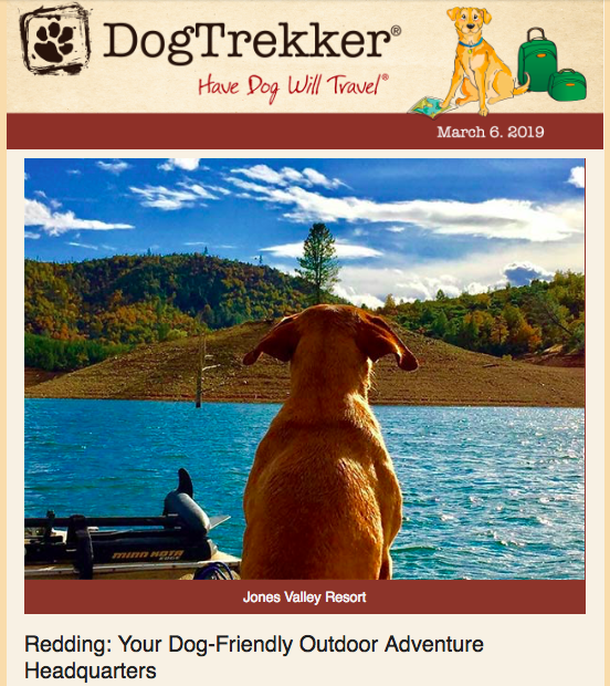 DogTrekker's tweet photo. Check out our latest newsletter: 
Redding: Your Dog-Friendly Outdoor Adventure Headquarters: https://t.co/SAF0DJnuP0 https://t.co/JoiS0yD6yK