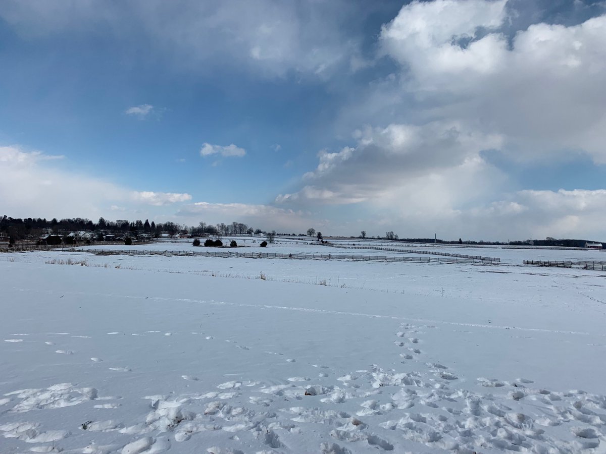 Megan Wittmann tweet media