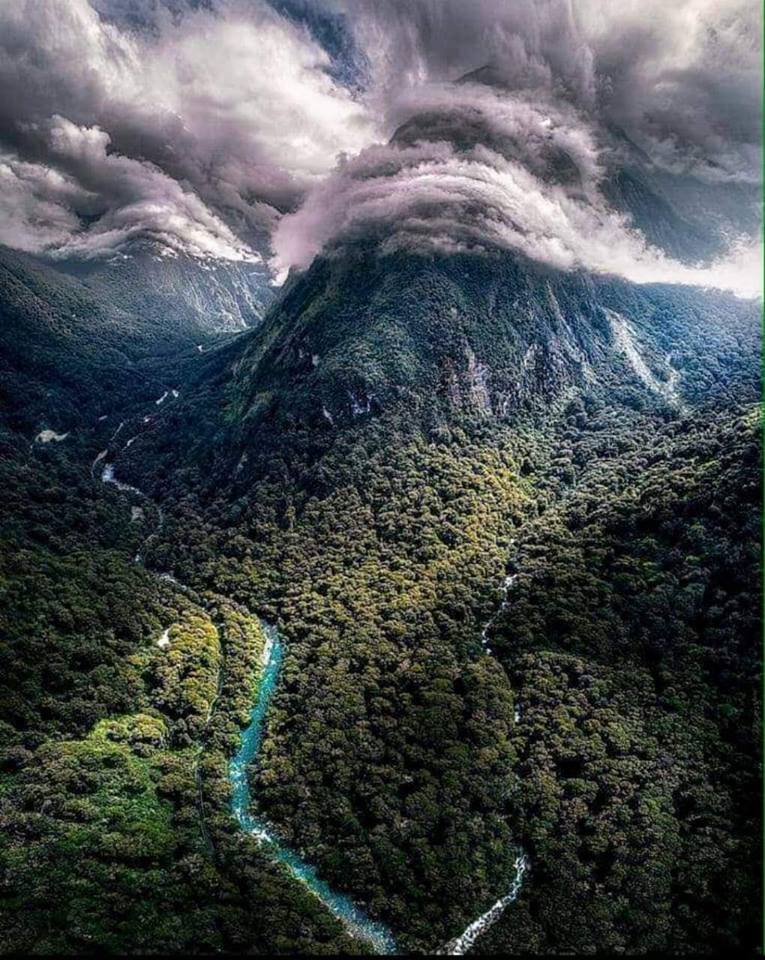 Dollar_Mexico's tweet photo. #México es un mosaico de paraísos montados en acuarelas colmadas de belleza que alegran nuestros sentidos 😍
Hermosa vista de la Selva Lacandona en el estado de #Chiapas
#RentaUnAuto 🚗 y vive la experiencia de vivir #México https://t.co/xdHcS0KUbL