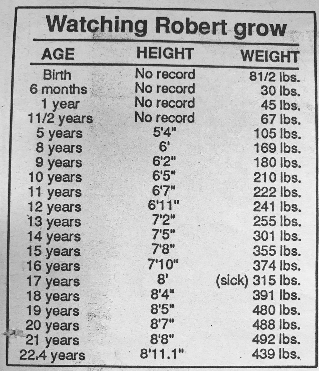 Shaq Shoe Size Growth Chart