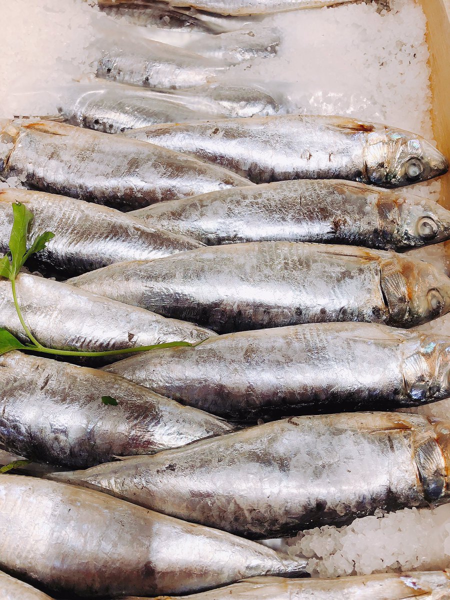 Un deixem unes sardines, per si us ve de gust enterrar-les.