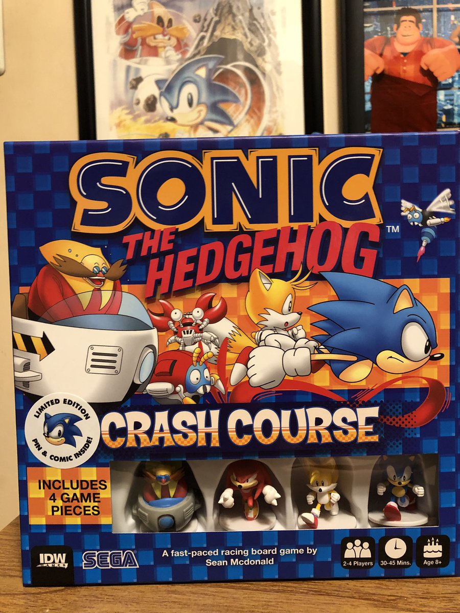 Sonic the Hedgehog Crash Course Game