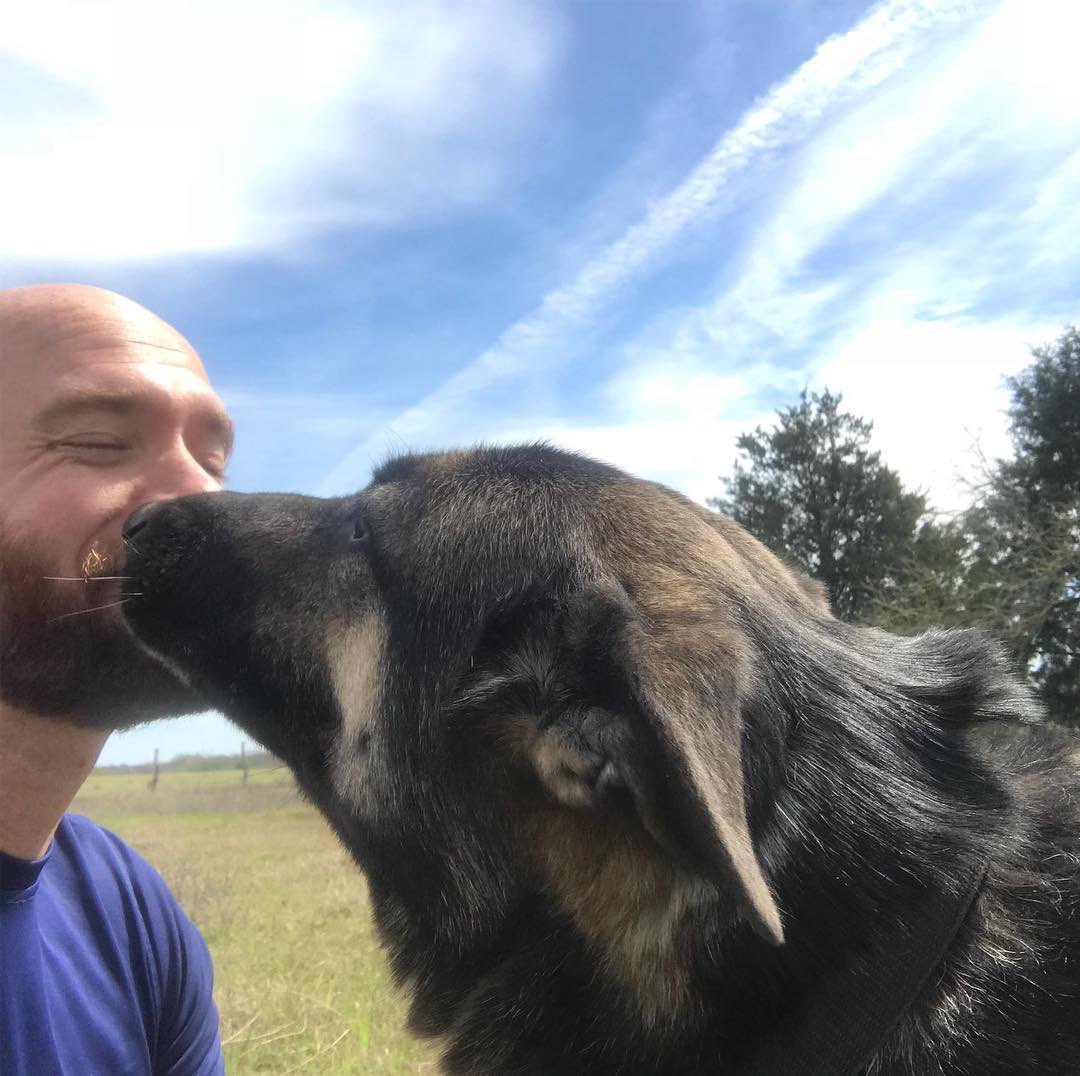 tymcartermoh's tweet photo. Vacation was great, but I missed my fur-baby. #servicedog #texaslife #medalofhonor #nala #dogsoftwitter #army #usmc https://t.co/lhl7gqCEkZ