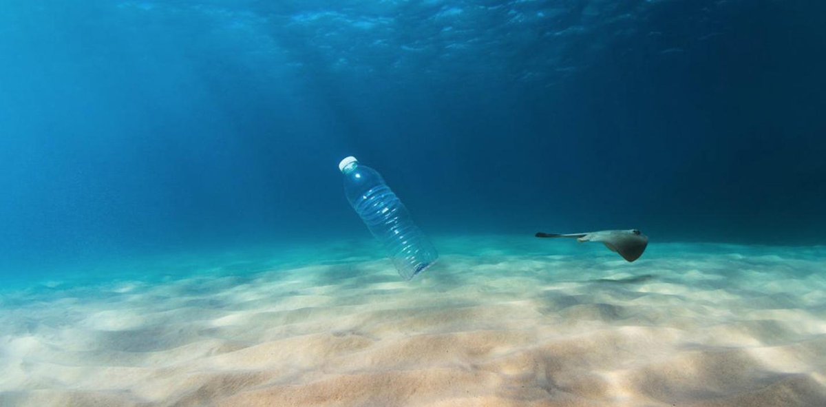 New research discovers plastic waste is affecting every single corner of the ocean. #plasticpollutes ow.ly/OlW130nWIkr