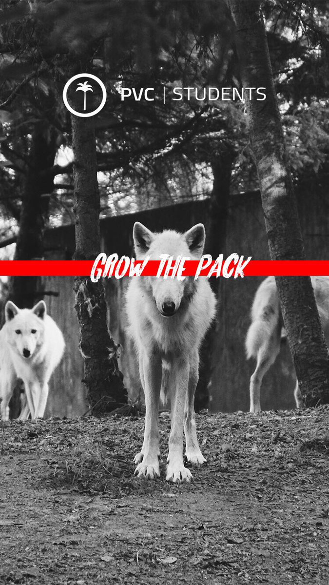 PVC678's tweet image. Here’s a wallpaper for you!!