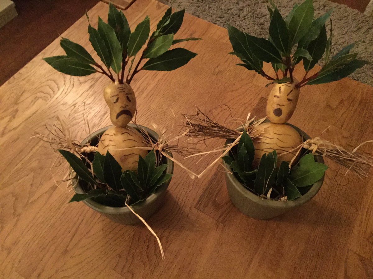 louhallam's tweet photo. Mandrakes ready #WorldBookDay https://t.co/ldVehXmlBv