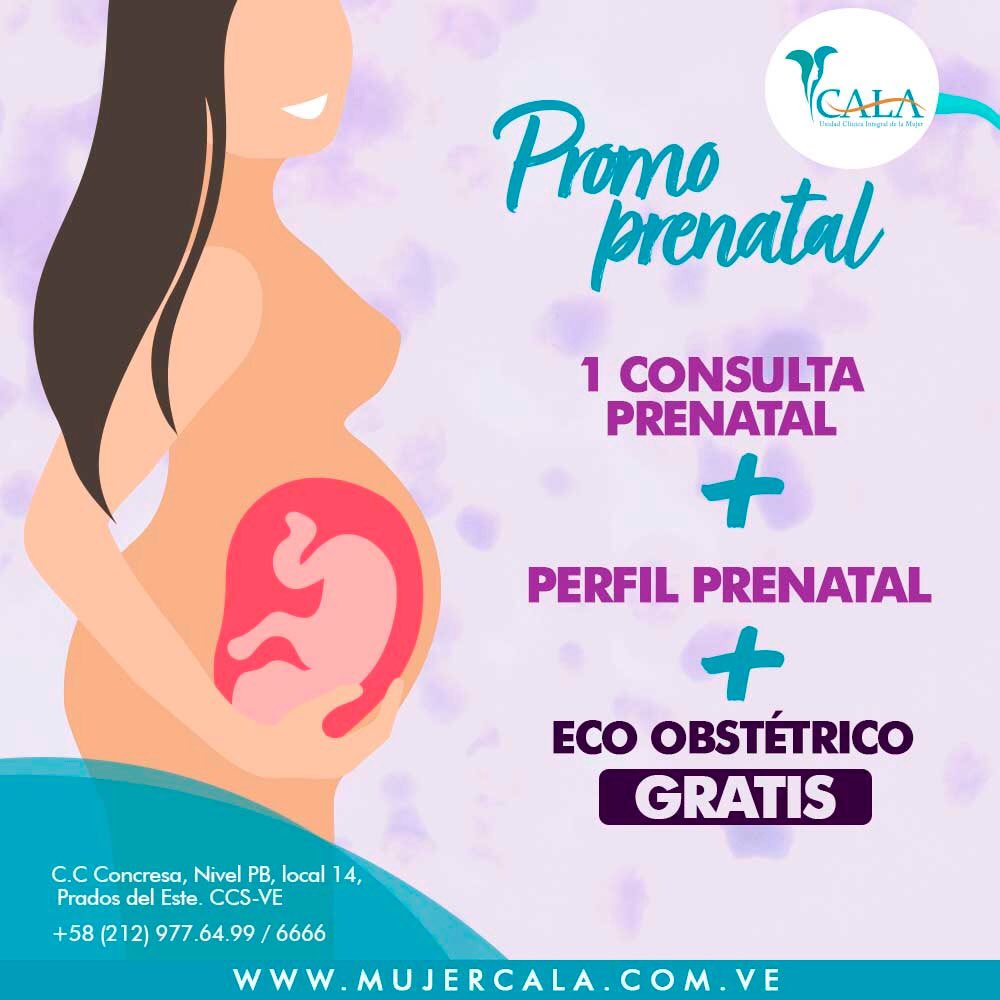MujerCala's tweet photo. ¡Se acerca el Día Internacional de la mujer!💃🏼✨ Si estás embarazada no puedes perderte esta excelente promoción que CALA tiene para ti en tu mes.
Contáctanos al: 0212.977.64.99 o mediante nuestro DM📩📲.
¡Te esperamos!
#saludfemenina #mujercala #mujer #8demarzo2019 https://t.co/GGdJKAqhD9