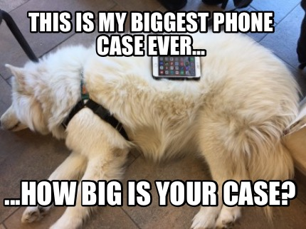 CasesJl's tweet photo. Our cases are better! https://t.co/jnd7LrVv1K