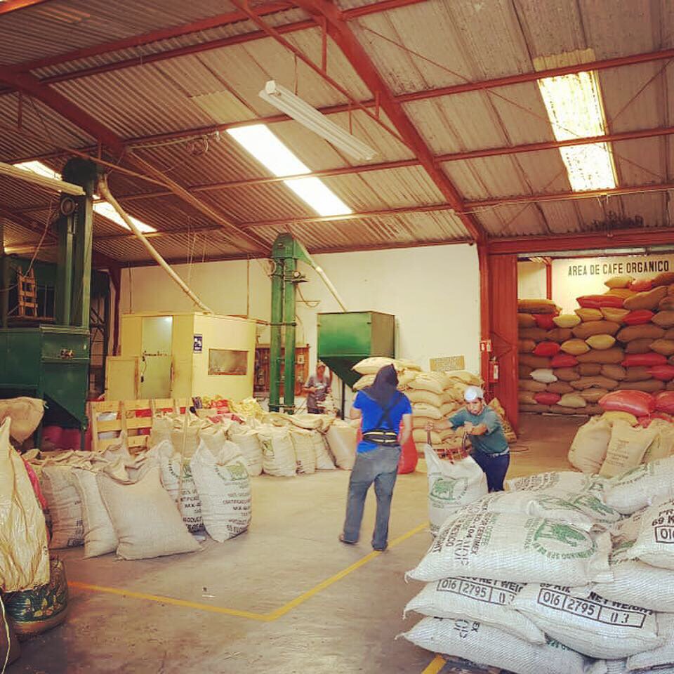 SustHarv's tweet photo. Hanging out with our partners at Ejidos San Fernando, who are behind some of Mexico’s best coffees! The cooperative impressed us with #LaLucha microlots and more last year, and we’re looking forward to more greatness for this year’s crop 🙌. #RelationshipCoffee #ImpactAtOrigin https://t.co/5qeOvUs8Io