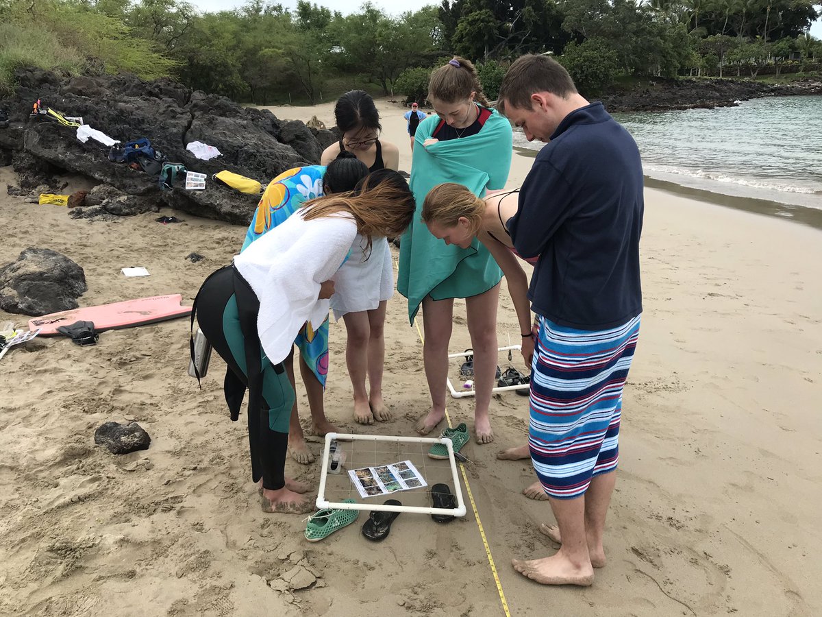 o_jgraham's tweet photo. Did you know flip flops are great proxies for #coral? Our #corals2019 students practice methods for #coral, #urchin, and #fish surveys that start tomorrow! https://t.co/Vmegc5A4Ix