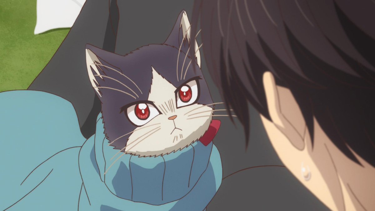 I m a cat. My roommate is a cat хару.