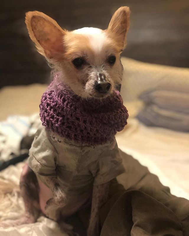 “Life is what you make it...”🚦 At the end of last yr I spent sometime with my sister-in-law @kboxerlady who won her battle with bladder cancer!✨ But after receiving Immuno therapy (also known as bcg treatment) to beat the cancer... she started having… ift.tt/2TiJUpL