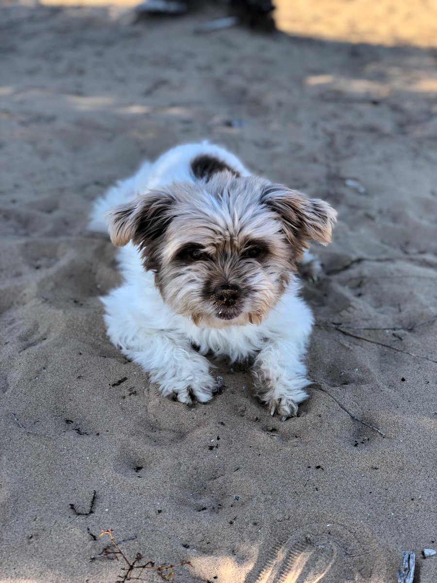 Una princesa ♥️🤗