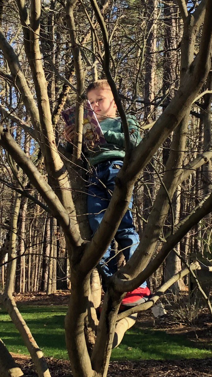 boobleatl's tweet photo. Reading somewhere different. 15 day reading challenge @GETCHEROKEEREADING @bascombbobcats #CCSDkidsread #ccsdreads #getccsdreading #haveyoureadtoday #bascombkidsread https://t.co/kLKI20gxkk