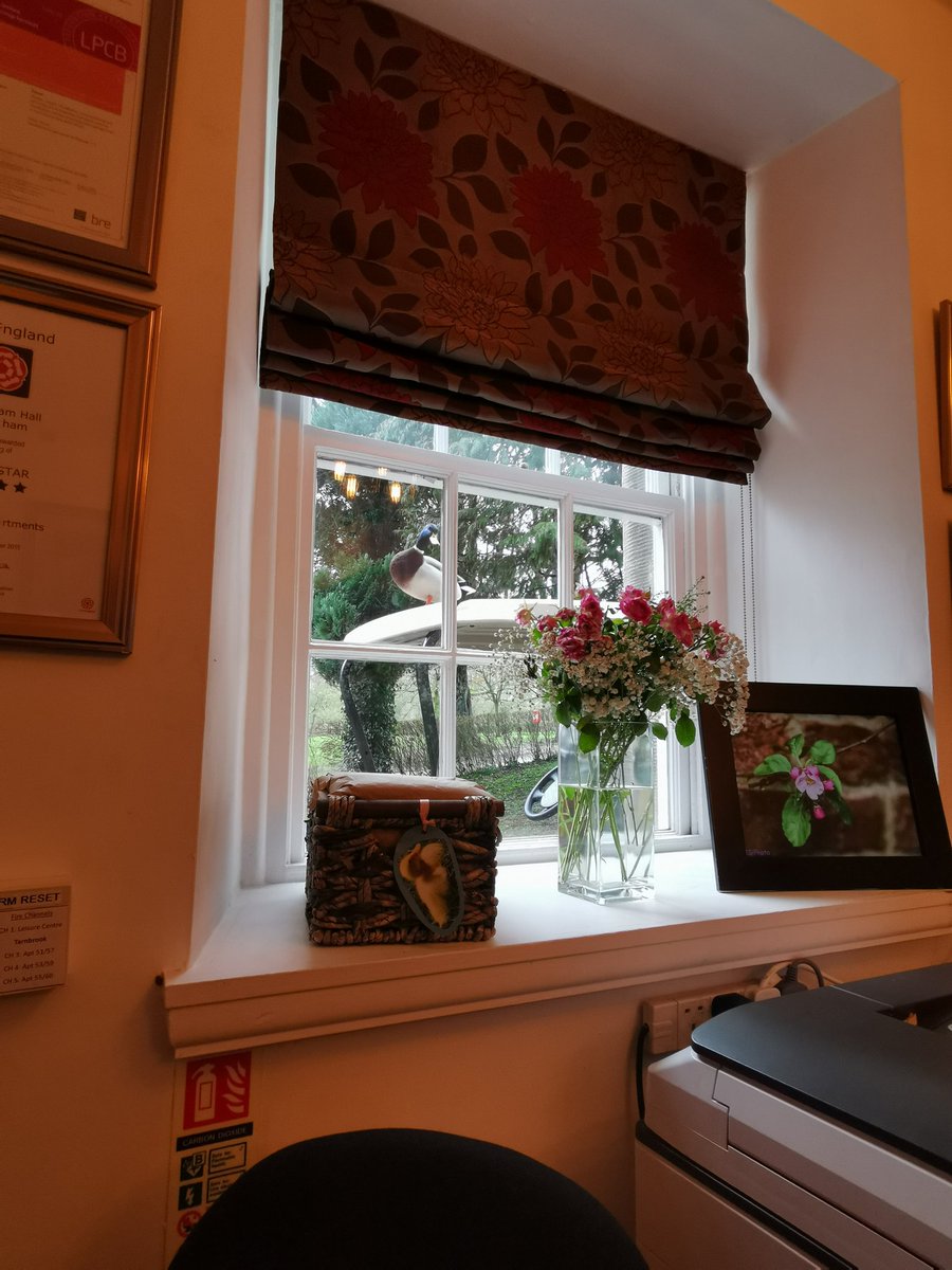 Emma_ResTeam tweet media