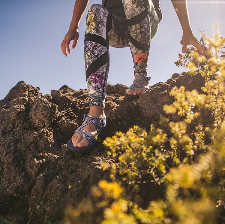 Kinnucan's tweet media