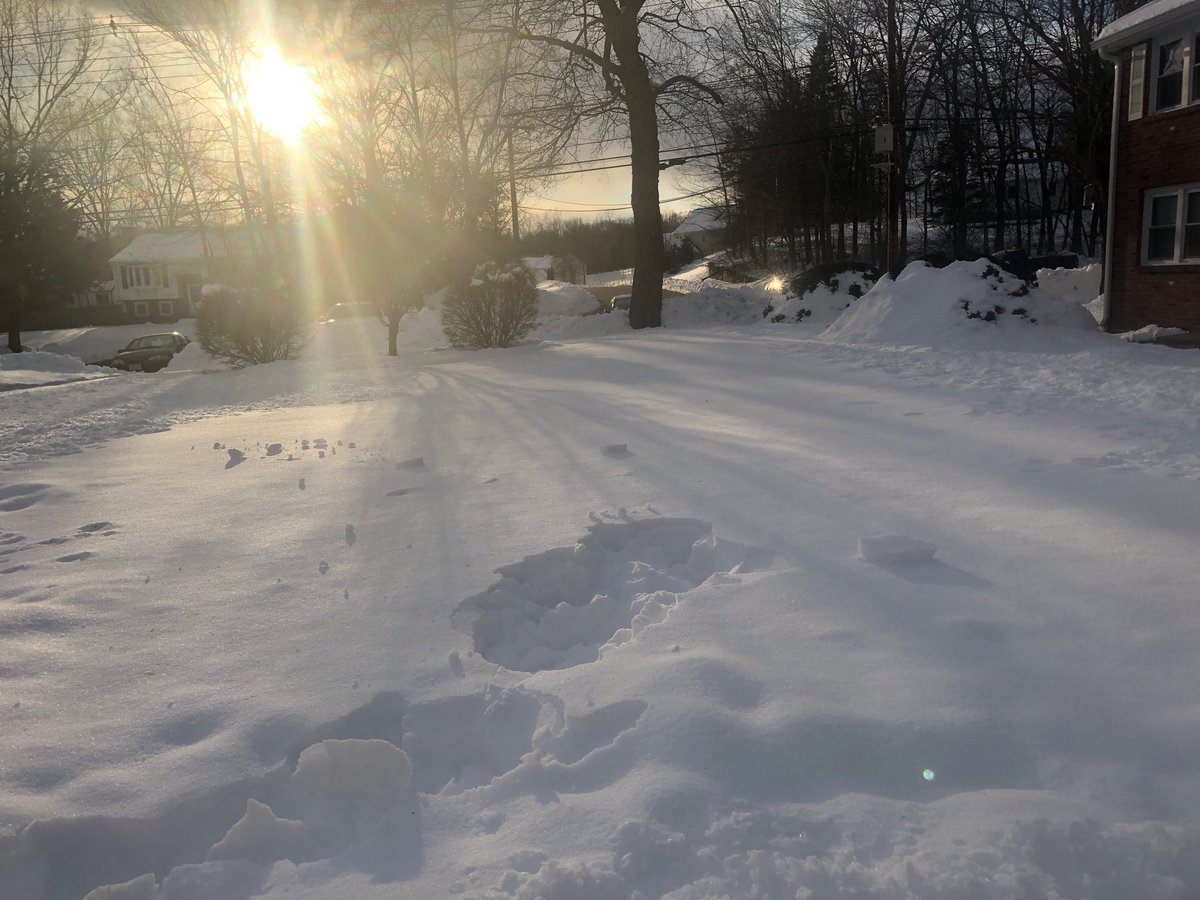 Carla Vidal (@carlavi22529293) on Twitter photo 