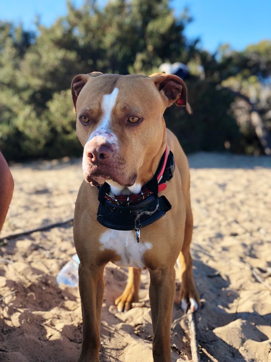 Un principe ♥️🤗