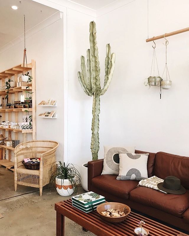 thekindguide's tweet photo. 🌵💚 We have quite a few beautiful boutiques on our radar of late, and Noel &amp; Gladys (@noelandgladys) is one of them! Based in Thirroul, NSW Australia, we recently popped by on a trip along the south-east coast—and we weren't disappointed. Stocking a c… https://t.co/QoygYhZczJ https://t.co/wRaGoitjxo