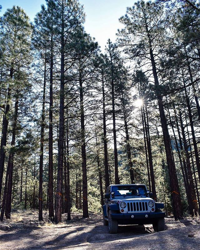 JojoDuray's tweet photo. I miss Arizona 😭
.
.
.
.
#arizona #overlanding #freezing #jeepgirl #jeeplife #myarmywifelife #militaryspouseblogger #adventureawaitsyou #exploremoretoday #getlostwithme #thousandwords #photography_lover #adventurelover #dogmomaf #borntoroam #girlboss… https://t.co/rXjdCbEhgF https://t.co/UOZPgZlhxg