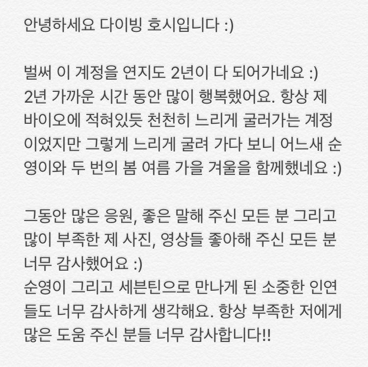 다이빙 호시💫 tweet media
