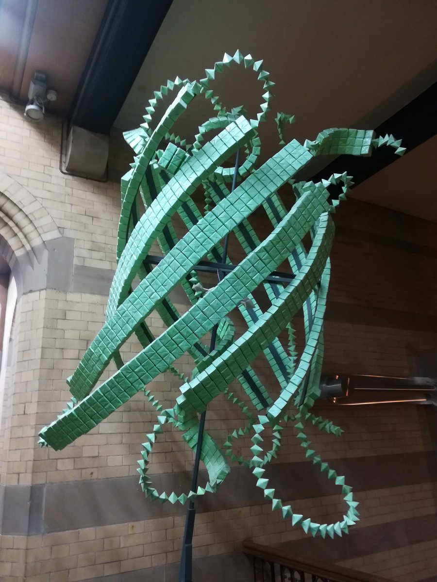 astromarta09's tweet photo. Green fluorescent protein made of paper #Origami #GFP @sheffielduni #firthcourt @RealTimeChem #RealTimeChem impressive! https://t.co/IBwpBTK7pz