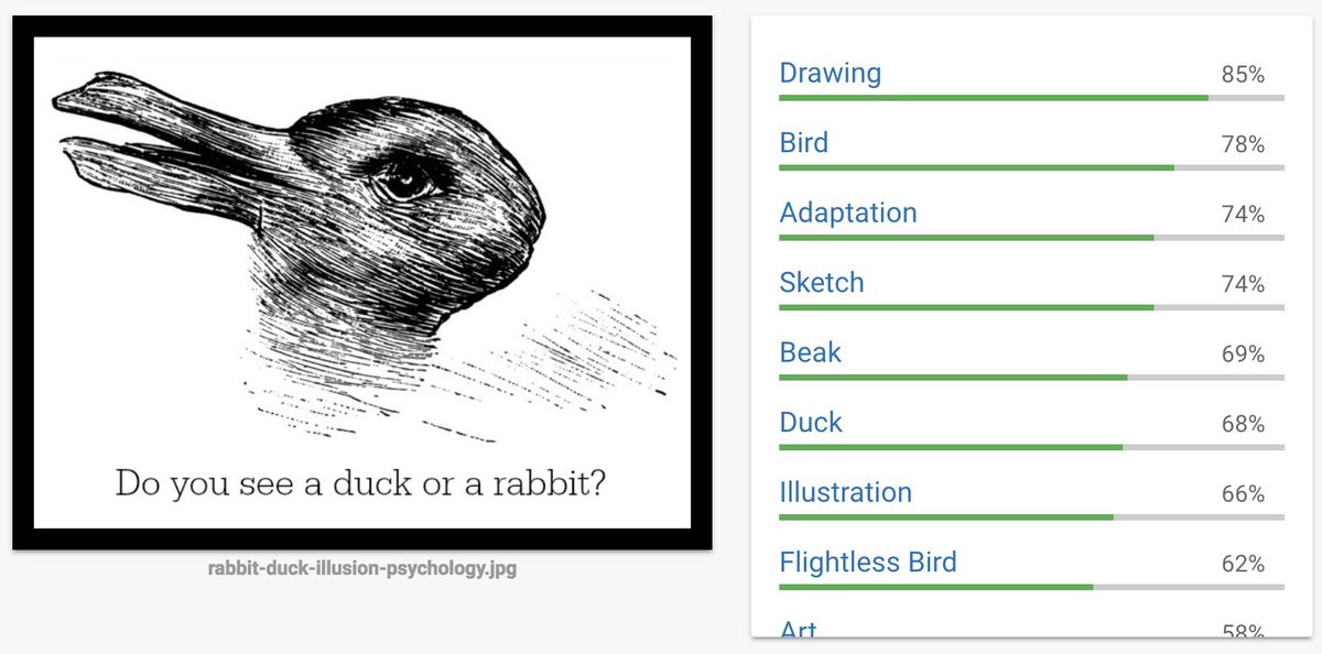 classic duck-or-rabbit optical illusion. AI is identifying it as drawing, bird, adaptation, sketch, beak, duck, (never rabbit)
