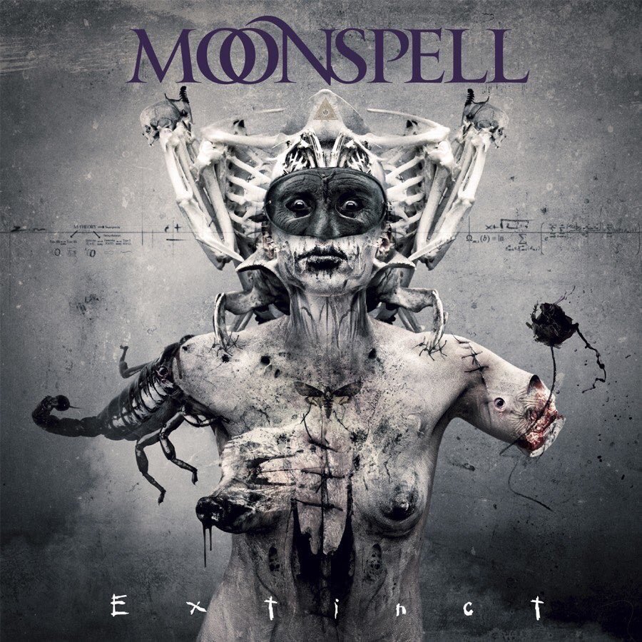 ThisDayInMETAL's tweet photo. Mar 6th 2015 @moonspell released the album “Extinct” #TheLastOfUs #Medusalem #FuneralBloom #Malignia #GothicMetal
Did you know...
The band is from Amadora, Lisbon, Portugal and formed in 1992. https://t.co/Lq31V5iFW8