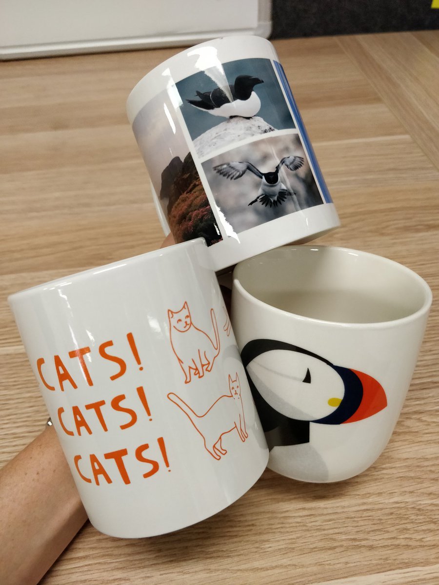 HollyKirk's tweet photo. My office mug collection is growing! Thanks to the most recent addition from @CityKat75 #catcatscats, they continue to be a true reflection of my favourite things.
For anyone that wants to know:
Razorbills > Puffins.
#factnotopinion
#seabirds https://t.co/FI0qLEL7h3