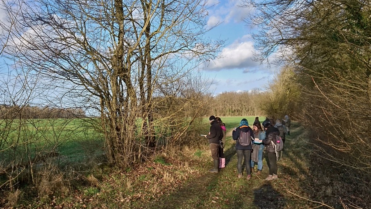 sclesbarres's tweet photo. Les étudiants préparant un #BTSA gestion et protection de la #nature à distance grâce à @eduter_cnpr travaillent sur le thème #agriculture & #biodiversité sous le soleil du #LEGTA @Le_Chesnoy @Les_Barres durant cette semaine.😎🌳🍃🐏🦉🐿🐾🚜 https://t.co/HfE5kEd02W