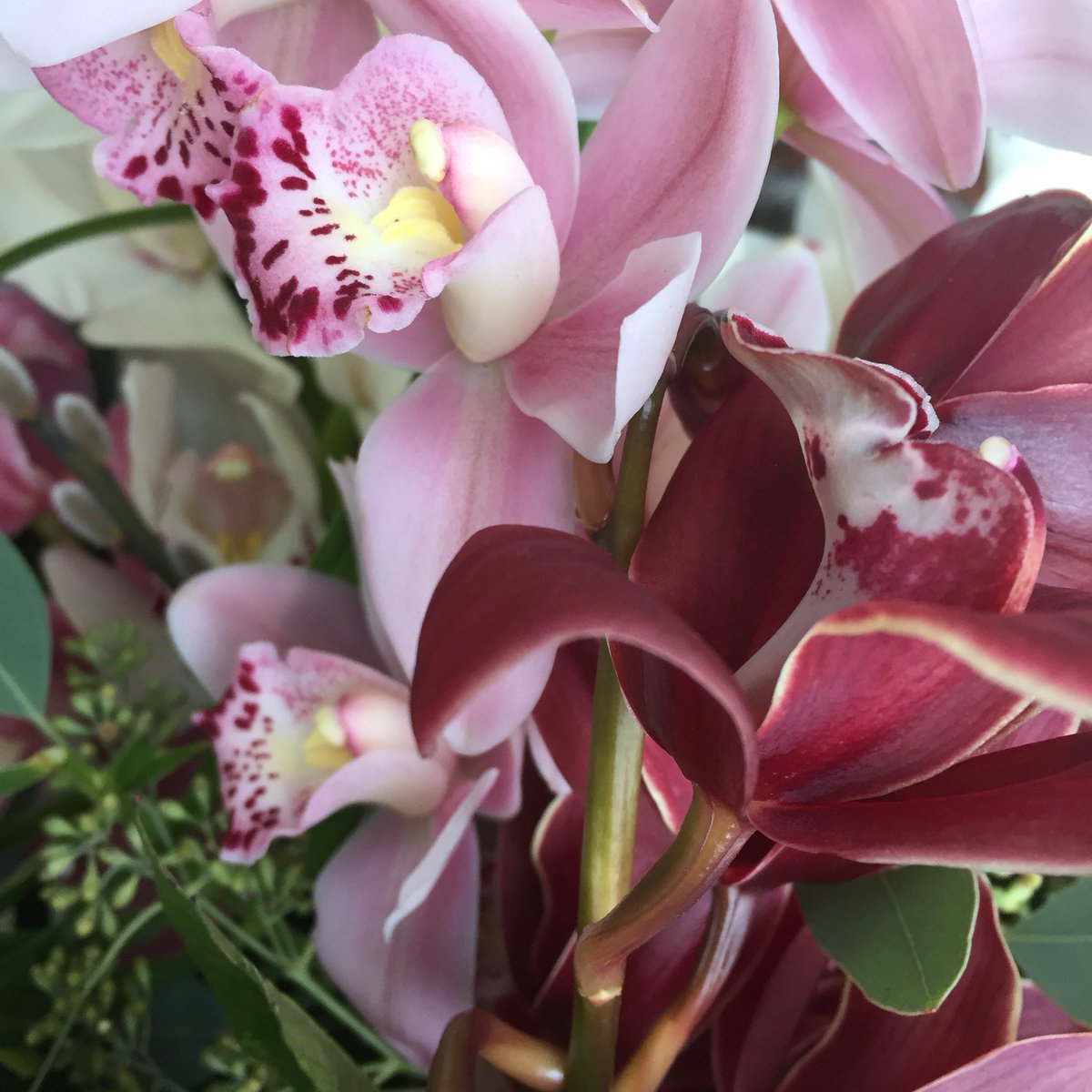 LisasFlorist's tweet photo. #orchids beautiful display for a very special person . https://t.co/BKsgAw7Obd