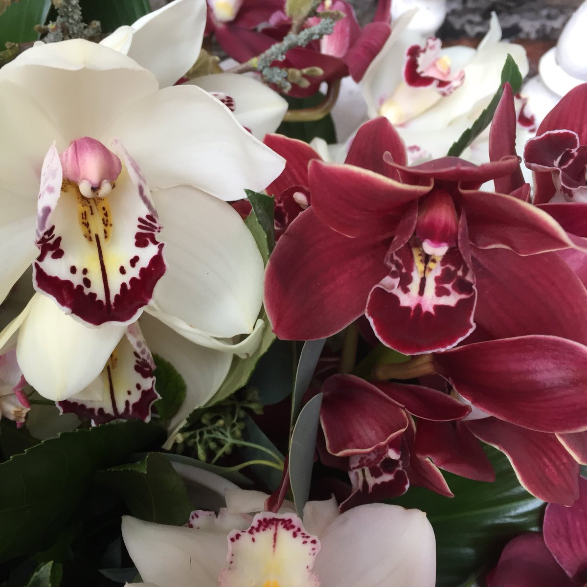 LisasFlorist's tweet photo. #orchids beautiful display for a very special person . https://t.co/BKsgAw7Obd
