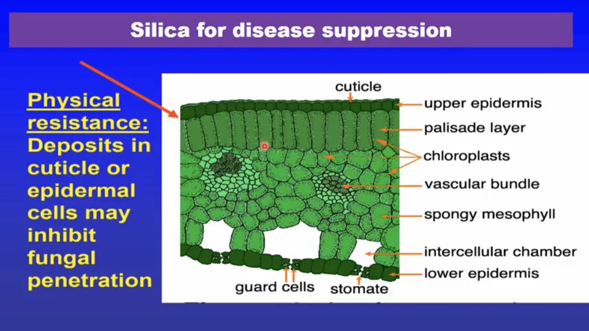 Dave Edmondson tweet media
