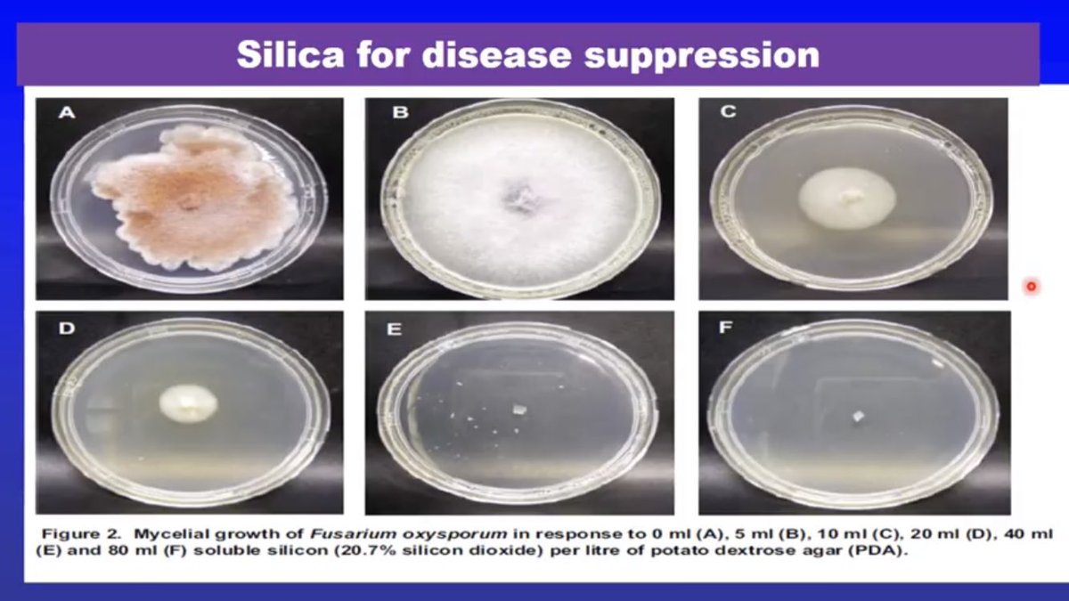 Dave Edmondson tweet media