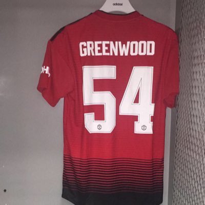 IrelandSmx's tweet photo. What did you think of when 17 year old @_MasonGreenwood stepped on the field for Man U this evening?       #54days to the FIT Touch World Cup? https://t.co/pWGBO2Nejn