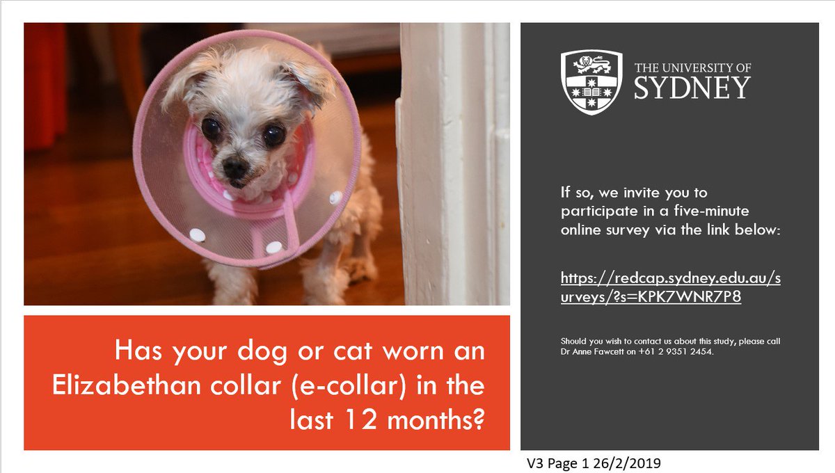 HARN_SydUni's tweet photo. Has your dog or cat worn an Elizabethan collar (e-collar) in the last 12 months? 
If so, we invite you to participate in a five-minute online survey:
https://t.co/Hto0bscXeq https://t.co/KBpcT2f7Px