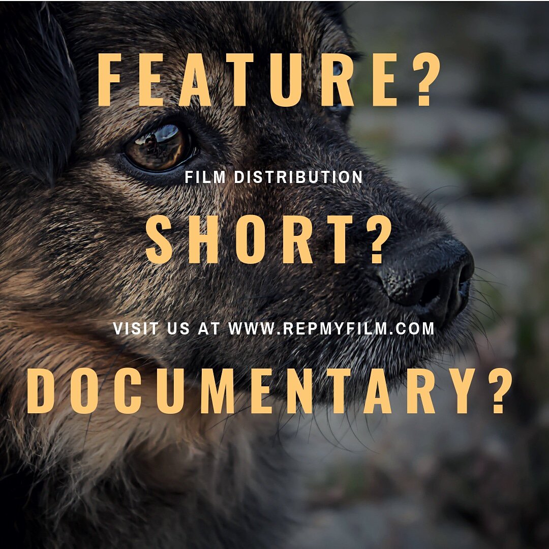 VegasCleo's tweet photo. Submit your film today! https://t.co/mAExvNyweq
.
#filmfestival #distribution #movies #indiefilmmaker #actorslife #repmyfilm  #featurefilm #horror #filmproducer #actress #movie #independentfilmmaker #filmdirector #amazonprime #netflix #film #actors #castandcrew #filmproduction https://t.co/je1KHeRxFC