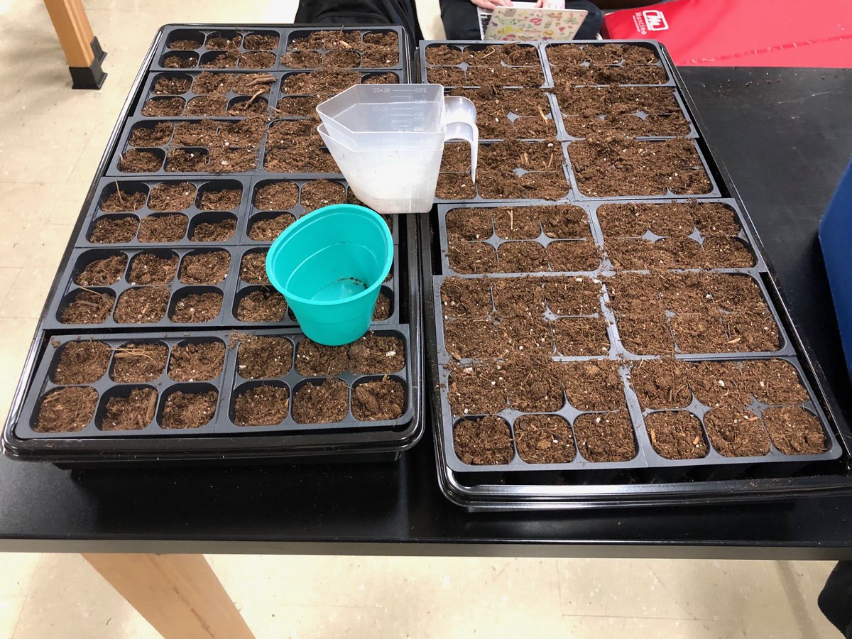 Christina Lambdin tweet media