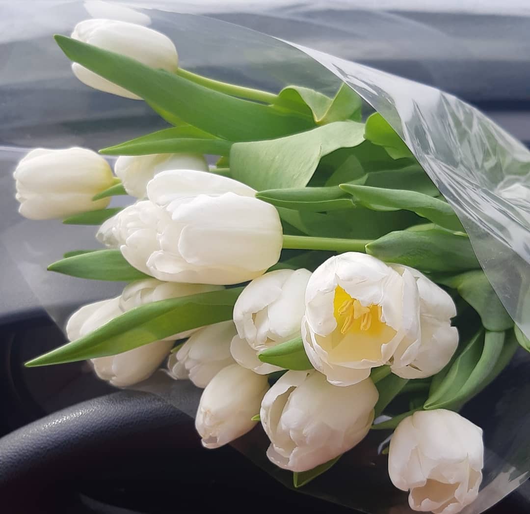 Низкий поклон 🙏 Губернатору Ивановской области @voskresenskiy_ss Станиславу Сергеевичу Воскресенскому, за Тёплый приём и  Поздравления! посвященные предстоящему Международному женскому дню! #ivanovoobl #ivanovo #8марта

Фотограф @andegoroff