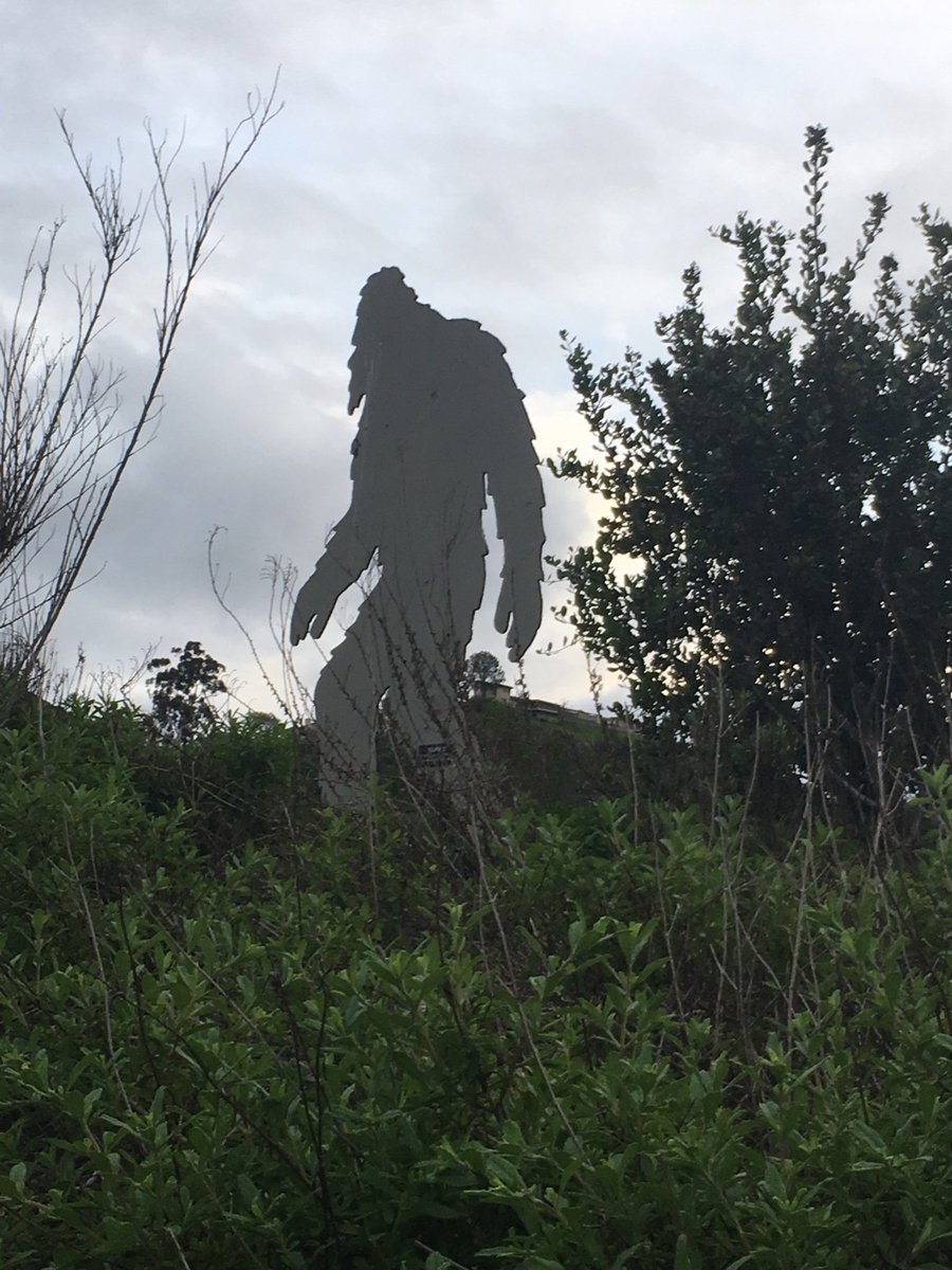 wolfsoul4's tweet photo. Found me a San Diego Sasquatch
#squatchon #sandiegorivergarden
@CryptoLoren @Nat_Cryptid_Soc @CryptidCrate @Cryptid_Wiki https://t.co/Ctkwl7Pajh