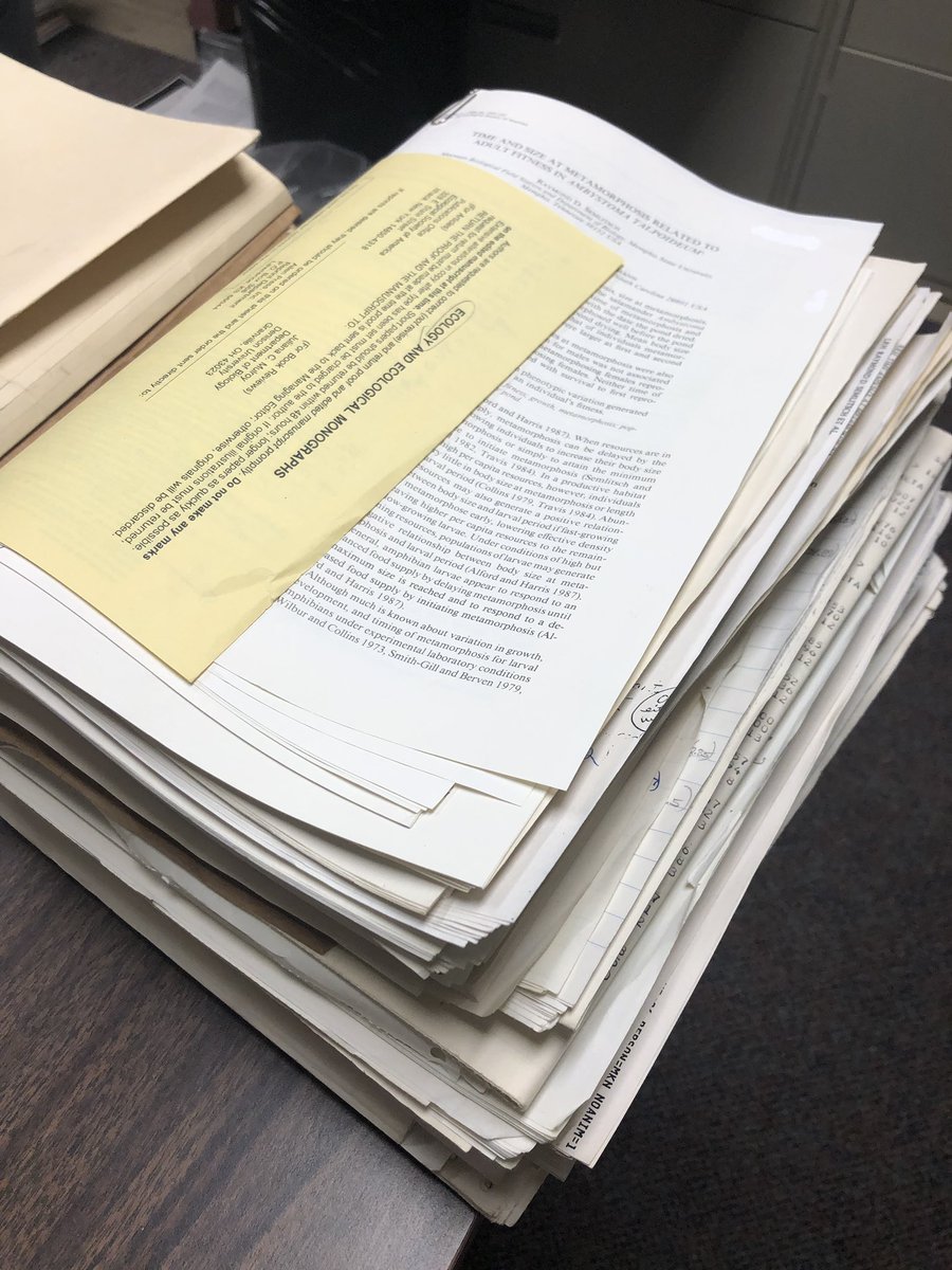 TLAmphib's tweet photo. This stack of paper is what it took to produce the classic mole #salamander paper by Semlitsch, Scott and Pechman paper in Ecology. Includes about 2 inches of SAS output #semlitschlab https://t.co/Jci7pClTDH
