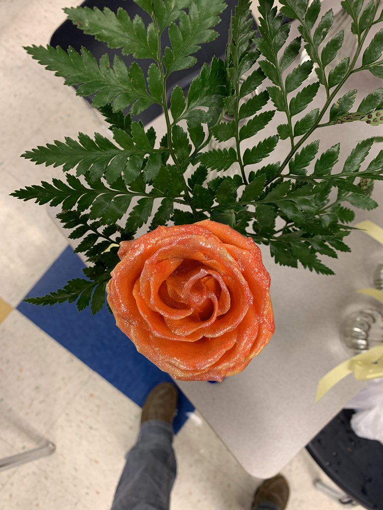 PGHS_FFA's tweet photo. Since we’ve been MIA, here’s what we haven’t shared with y’all! 
For Valentine’s, we sold waxed flowers!
We attended Legislative Day in Raleigh,
Sold poinsettias for Christmas,
And have had some great meetings since our last posts! 
And now you’re all caught up! https://t.co/LUTkqboqIv
