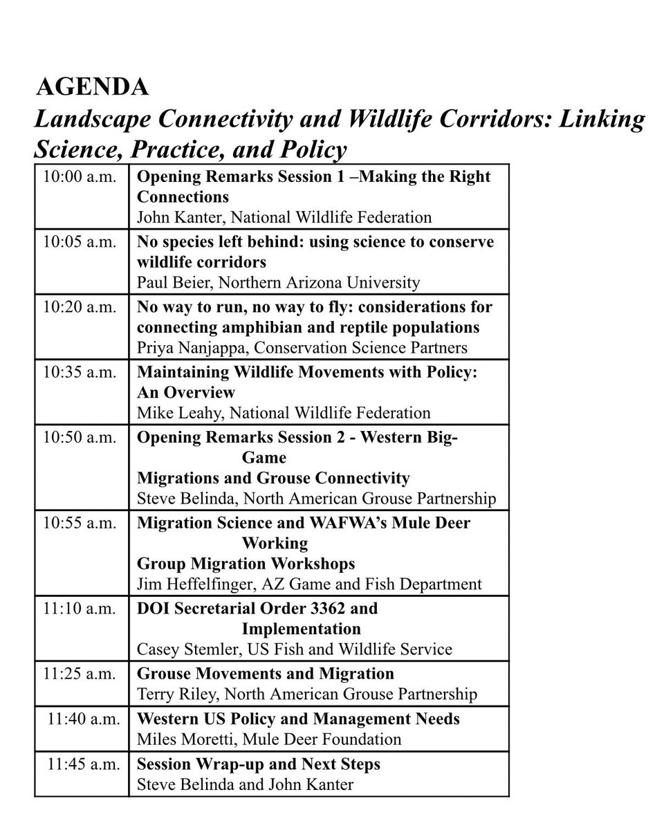 minimalist interfaces evidence from indonesian and javanese linguistik aktuell linguistics today la 155