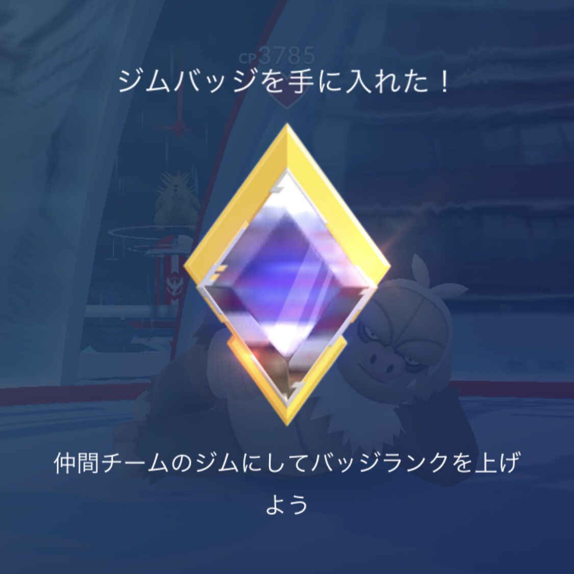 ジムバッジ ジムバッジ