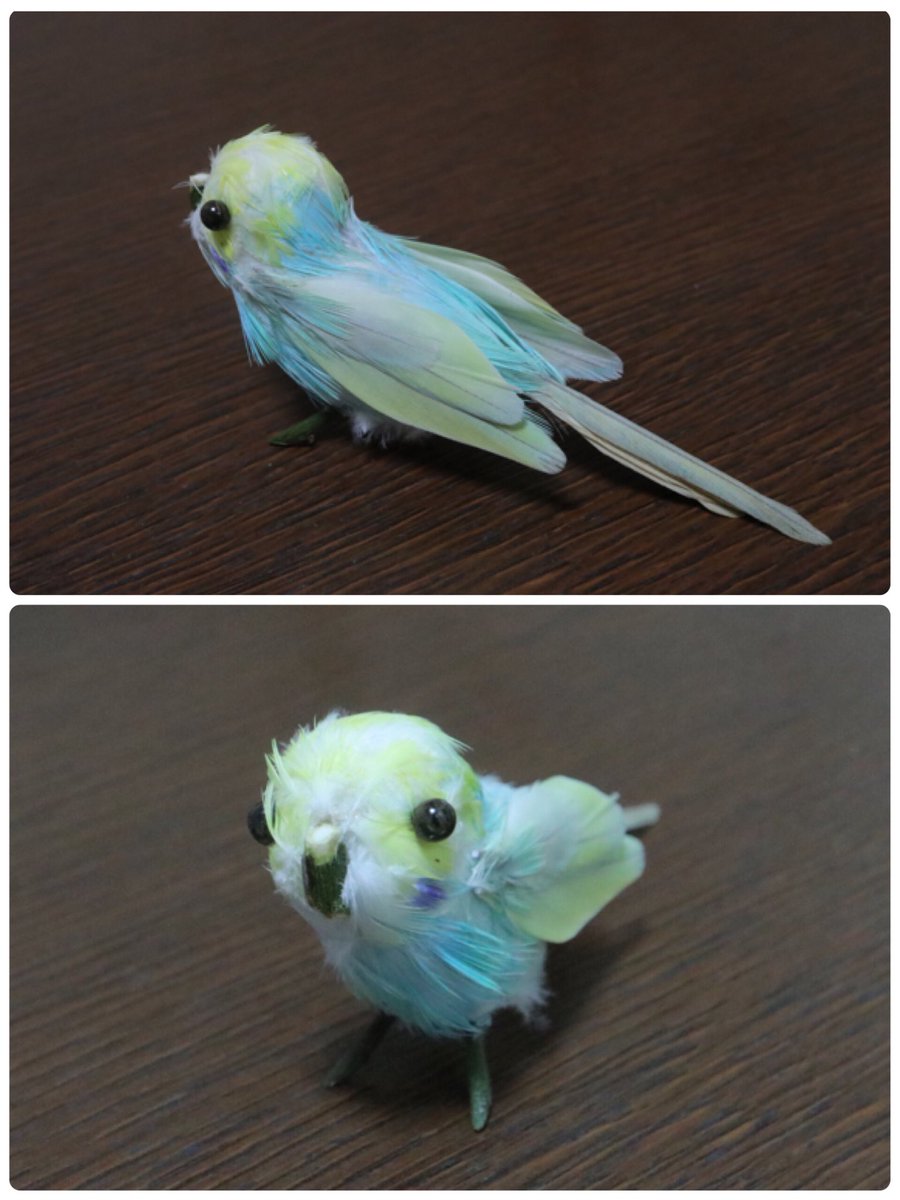 鳥飼いさん必見 なかなか捨てられない愛鳥の羽で鳥のミニチュアを作った人が話題に Togetter 鳥飼いさん必見 なかなか捨てられない愛鳥の羽で鳥のミニチュアを作った人が話題に Togetter
