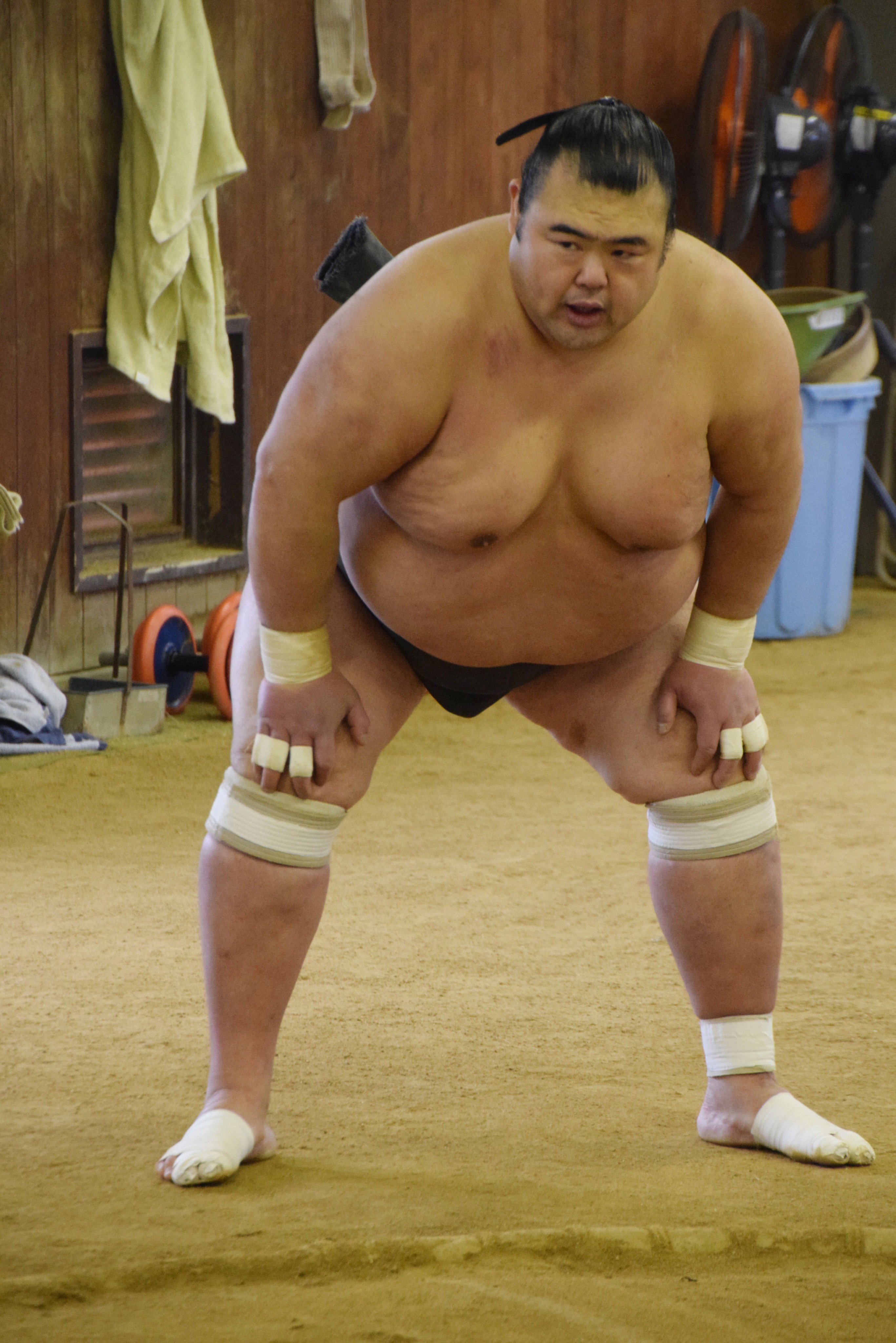 日本相撲協会公式 on X: 日本相撲協会公式 on X: