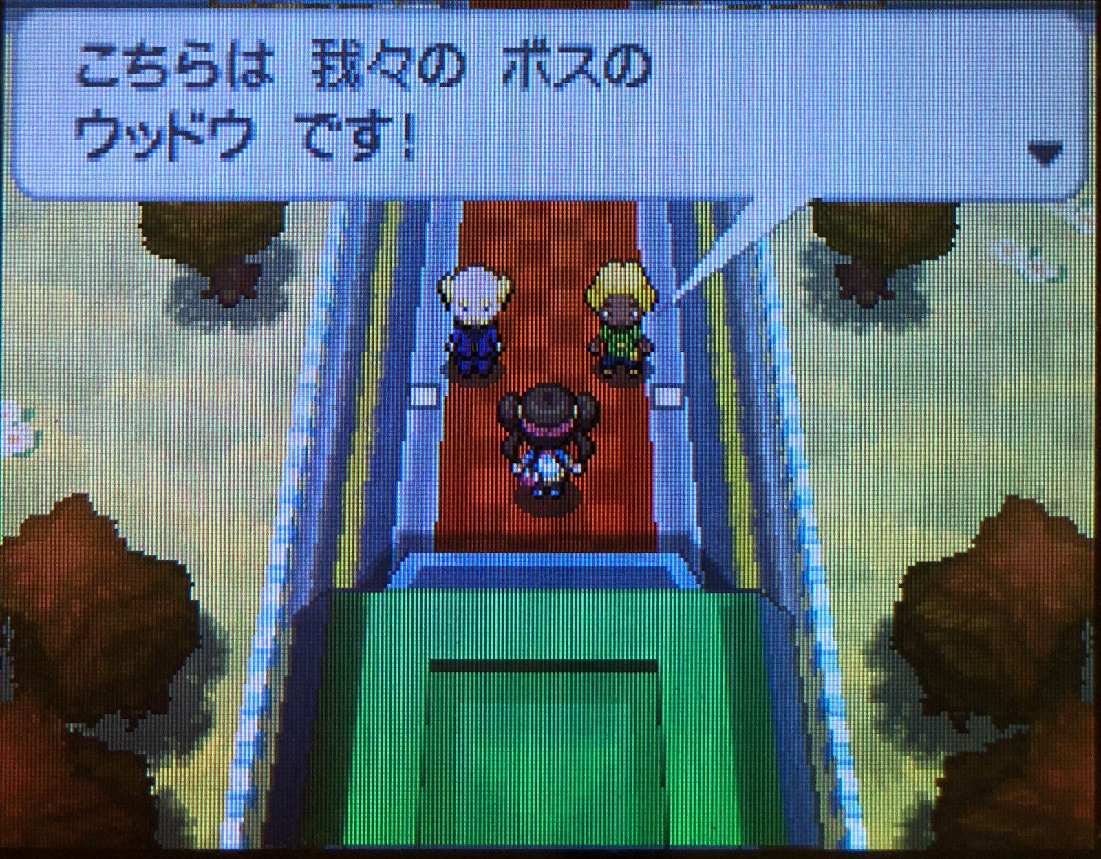 6 ポケウッドで映画撮影 ピクミン マリオ ドラクエ Ff ポケモン日記