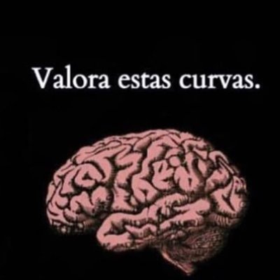 YolandaClein's tweet photo. https://t.co/MIgyiQyNIa