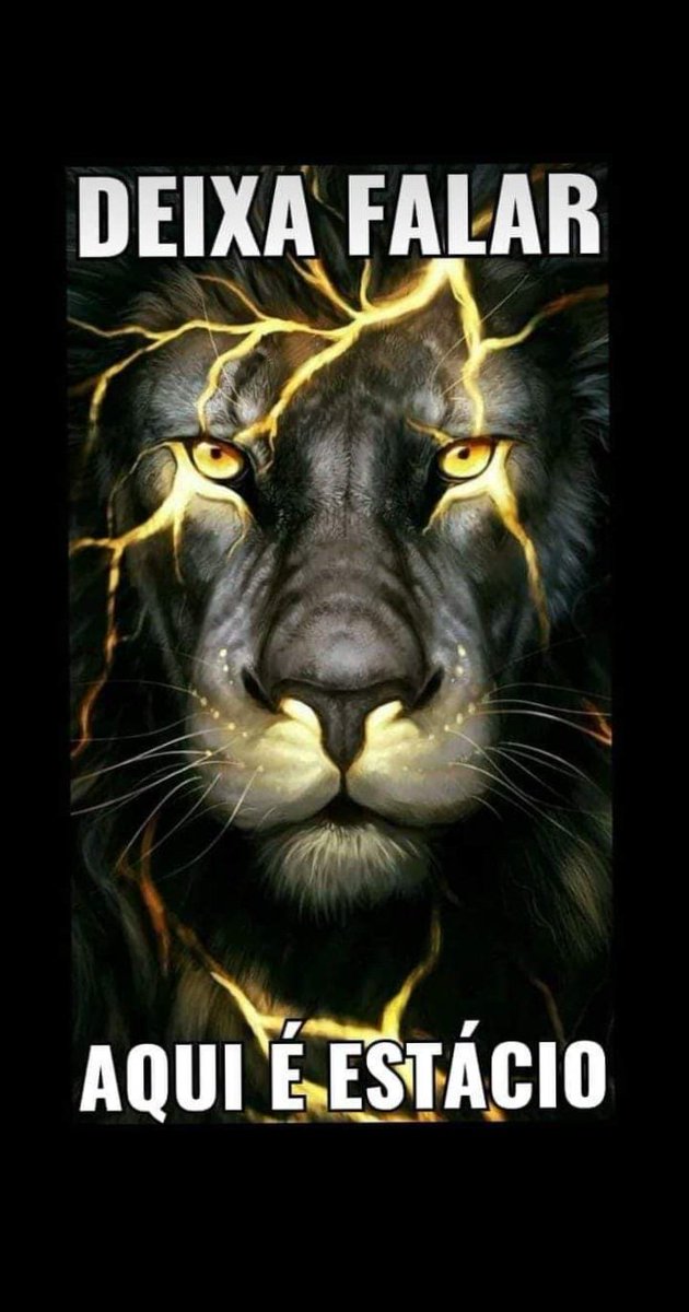 Brito_16Flavio's tweet image. Berço do samba, retorno ao lugar de direito, respeita a nossa História!🦁🦁🦁🦁
#estaciocampeao 
#bercodosamba