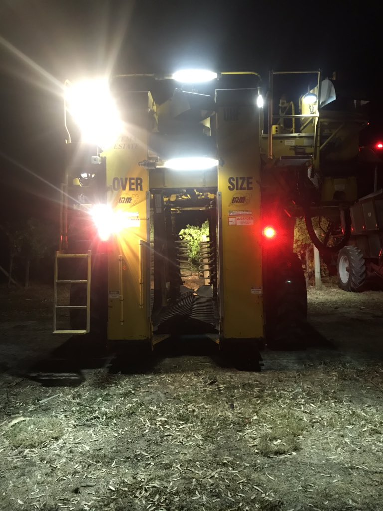 Lights, camera, action 🎬 Hello V19! 
A 3am start at Zema Estate to get the Sauvignon Blanc off in pristine condition 🤩 Happy to report it was smooth sailing! 
#zemaestate #vintage #V19 #coonawarra
@coonawarra_wine